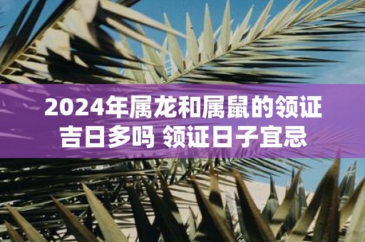 2025年属龙和属鼠的领证吉日多吗 领证日子宜忌
