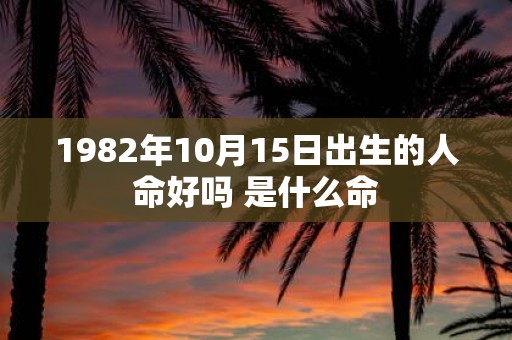 1982年10月15日出生的人命好吗 是什么命