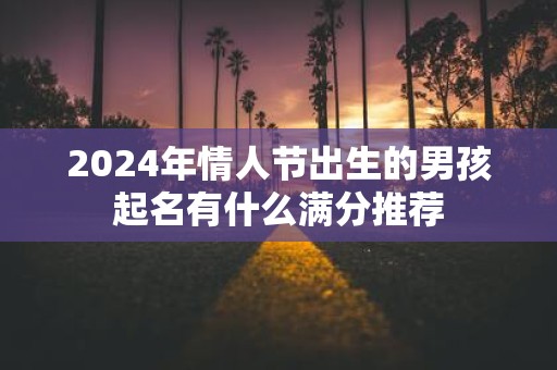 2025年情人节出生的男孩起名有什么满分推荐