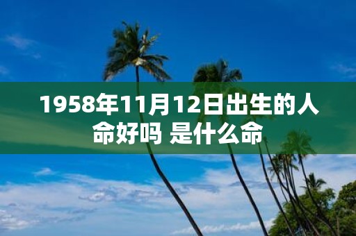 1958年11月12日出生的人命好吗 是什么命