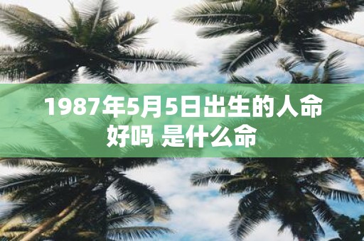1987年5月5日出生的人命好吗 是什么命