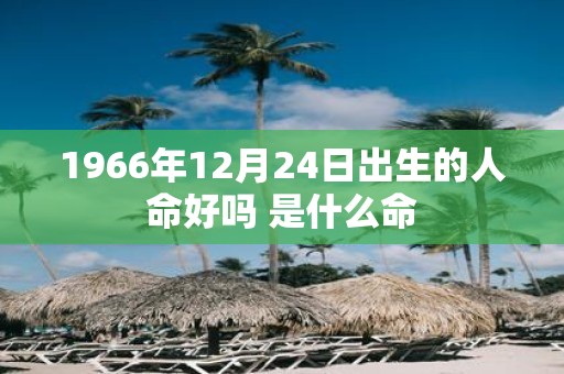 1966年12月24日出生的人命好吗 是什么命