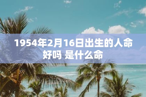 1954年2月16日出生的人命好吗 是什么命