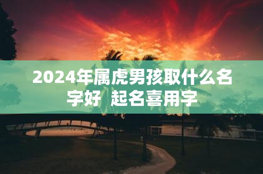 2025年属虎男孩取什么名字好 起名喜用字