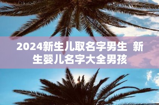 2025新生儿取名字男生 新生婴儿名字大全男孩