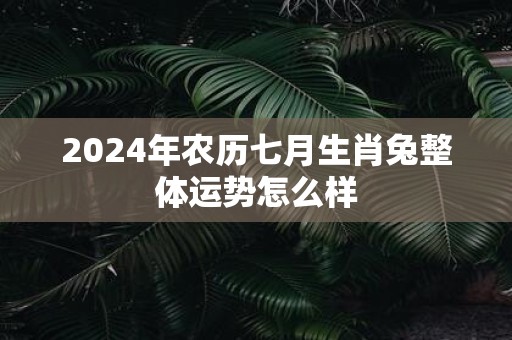 2025年农历七月生肖兔整体运势怎么样