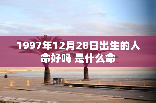 1997年12月28日出生的人命好吗 是什么命