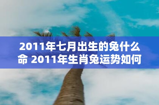 2011年七月出生的兔什么命 2011年生肖兔运势如何