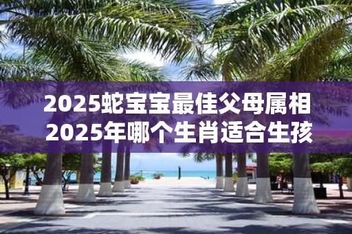 2025蛇宝宝最佳父母属相 2025年哪个生肖适合生孩子