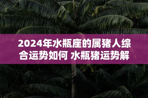2025年水瓶座的属猪人综合运势如何 水瓶猪运势解析