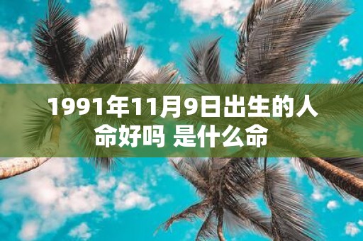 1991年11月9日出生的人命好吗 是什么命