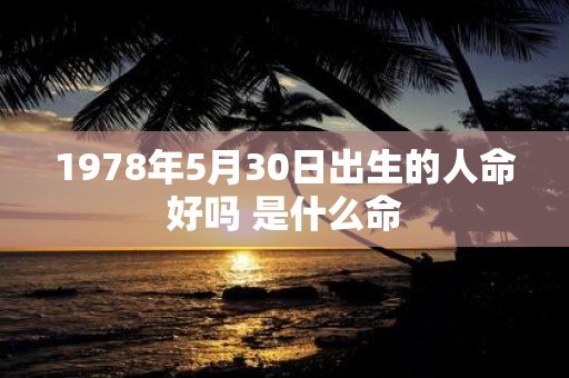 1978年5月30日出生的人命好吗 是什么命