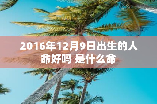 2016年12月9日出生的人命好吗 是什么命