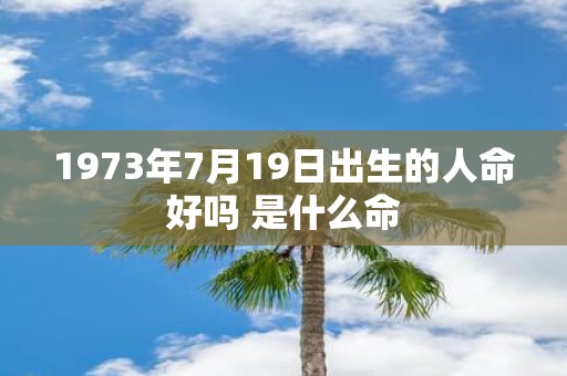 1973年7月19日出生的人命好吗 是什么命