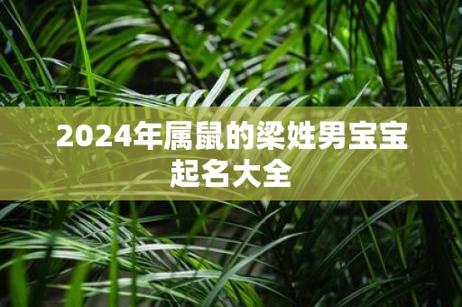 2025年属鼠的梁姓男宝宝起名大全