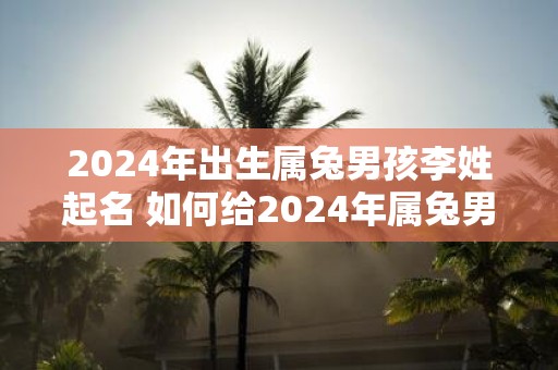2025年出生属兔男孩李姓起名 如何给2025年属兔男孩李氏起名
