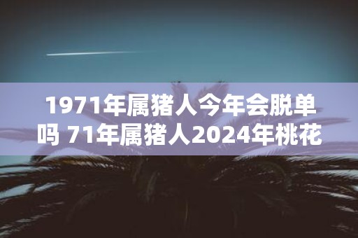 1971年属猪人今年会脱单吗 71年属猪人2025年桃花运