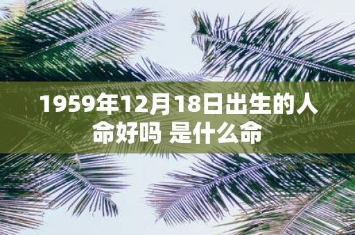1959年12月18日出生的人命好吗 是什么命
