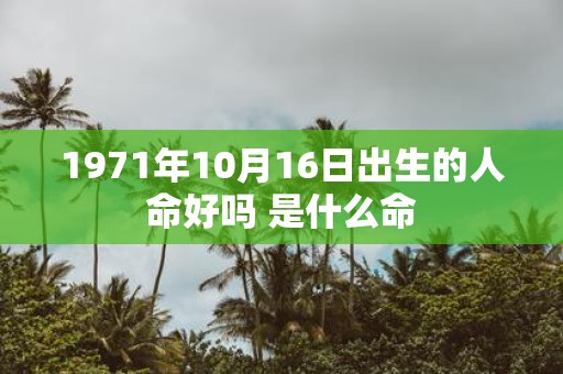 1971年10月16日出生的人命好吗 是什么命