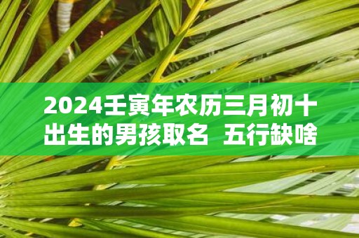 2025壬寅年农历三月初十出生的男孩取名 五行缺啥