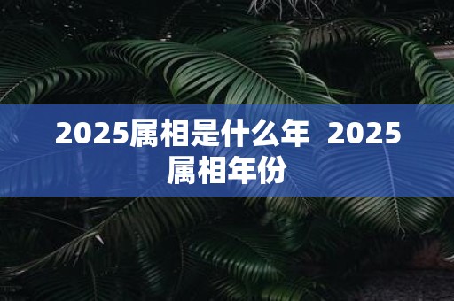 2025属相是什么年 2025属相年份