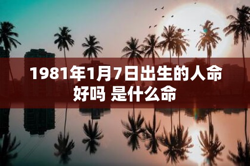 1981年1月7日出生的人命好吗 是什么命