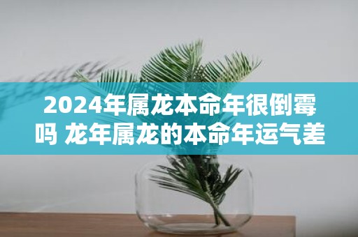 2025年属龙本命年很倒霉吗 蛇年属龙的本命年运气差怎么办