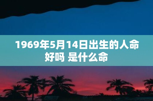 1969年5月14日出生的人命好吗 是什么命