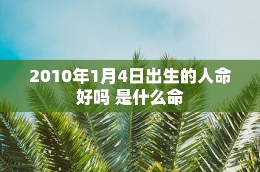2010年1月4日出生的人命好吗 是什么命