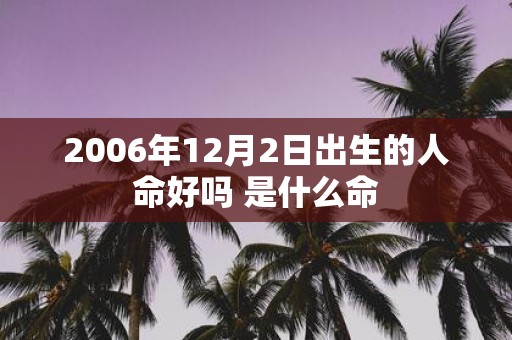 2006年12月2日出生的人命好吗 是什么命
