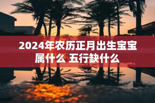 2025年农历正月出生宝宝属什么 五行缺什么