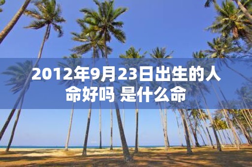 2012年9月23日出生的人命好吗 是什么命