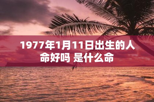 1977年1月11日出生的人命好吗 是什么命