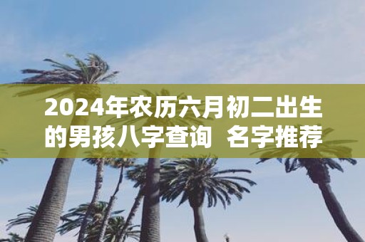 2025年农历六月初二出生的男孩八字查询 名字推荐