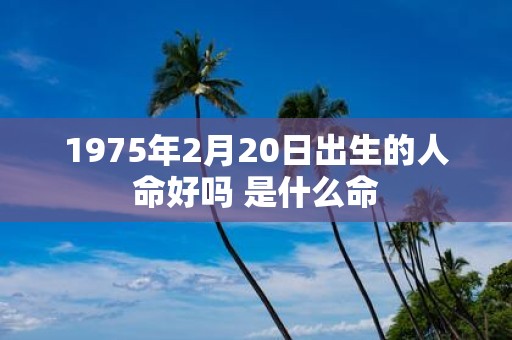 1975年2月20日出生的人命好吗 是什么命