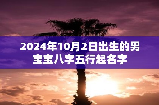 2025年10月2日出生的男宝宝八字五行起名字