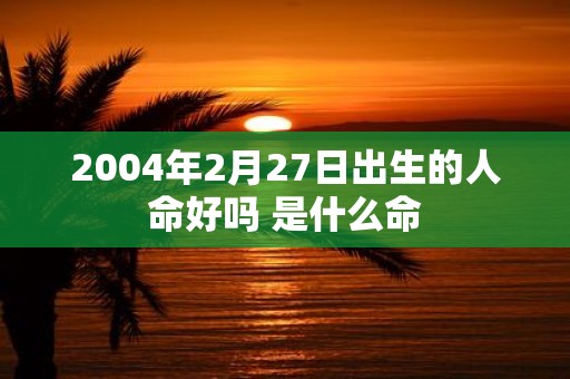 2004年2月27日出生的人命好吗 是什么命