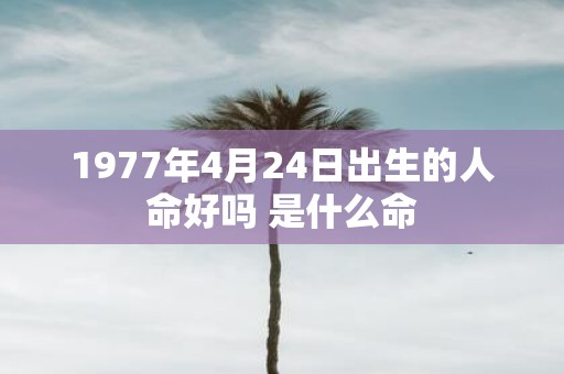 1977年4月24日出生的人命好吗 是什么命