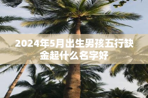2025年5月出生男孩五行缺金起什么名字好
