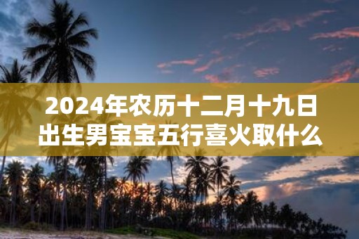 2025年农历十二月十九日出生男宝宝五行喜火取什么名字