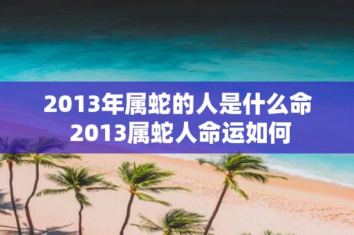 2013年属蛇的人是什么命 2013属蛇人命运如何