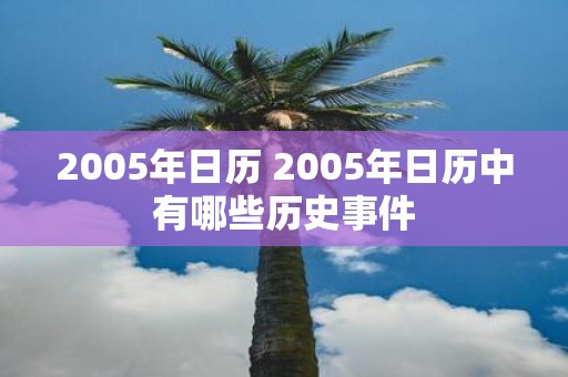 2005年日历 2005年日历中有哪些历史事件