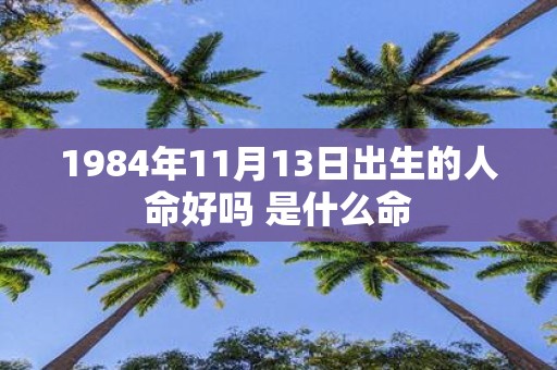 1984年11月13日出生的人命好吗 是什么命