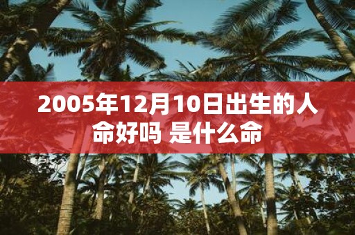 2005年12月10日出生的人命好吗 是什么命