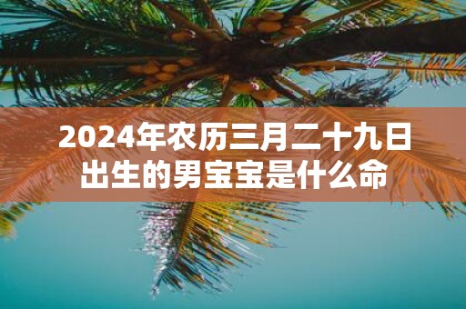 2025年农历三月二十九日出生的男宝宝是什么命