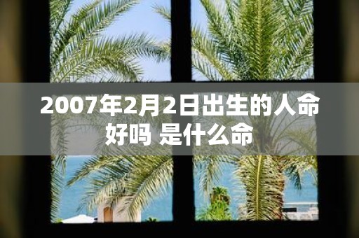 2007年2月2日出生的人命好吗 是什么命
