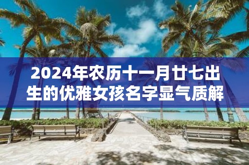 2025年农历十一月廿七出生的优雅女孩名字显气质解析