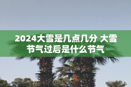2025大雪是几点几分 大雪节气过后是什么节气