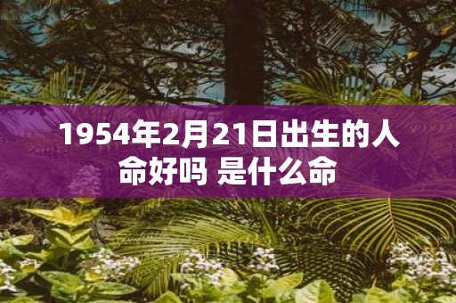 1954年2月21日出生的人命好吗 是什么命