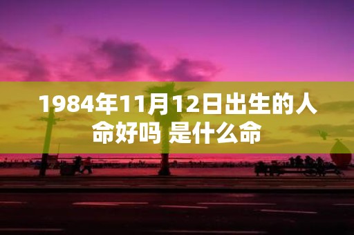 1984年11月12日出生的人命好吗 是什么命